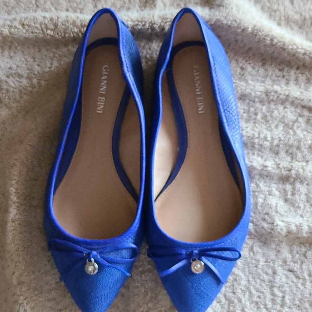 Gianni Bini Royal Blue Flats.  So comfortable.